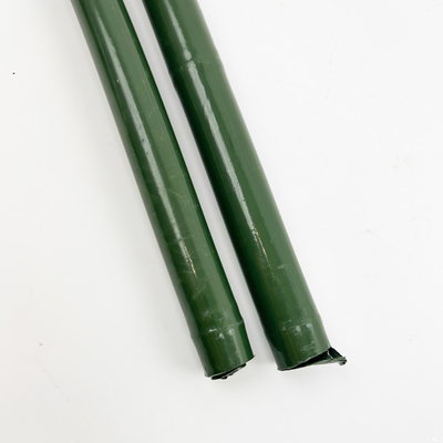 緑を塗っている40cm 60cm 90cm 120cmの長さの緑タケ ポーランド人