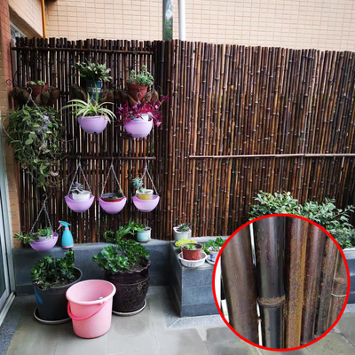 黒く自然で装飾的なタケ塀4Ft 6Ft庭のプライバシーの家の庭のための8Ft