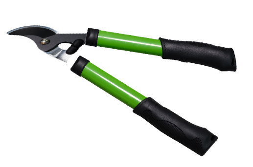 ステンレス鋼 ガーデン・シーザー 剪定器 小型 剪定 剪定 剪定 剪定 剪定 剪定 剪定 剪定 剪定 剪定 剪定 剪定 剪定 剪定 剪定 剪定 剪定 剪定 剪定 剪定 剪定 剪定 剪定 剪定 剪定 剪定 剪定 剪定 剪定 剪定 剪定 剪定 剪定 剪定 剪定 剪定 剪定 剪定 剪定 剪定 剪定