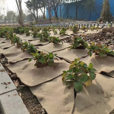 自然ジュート植物マット 盆栽植物,庭園装飾,種子発芽のための環境に優しい保護剤